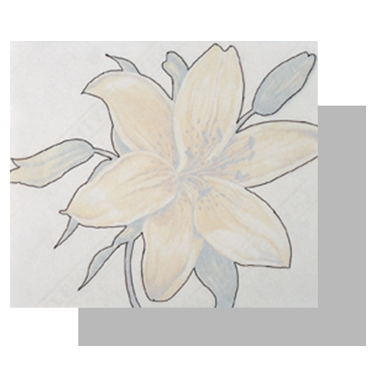 نقاشی گل لیلیوم